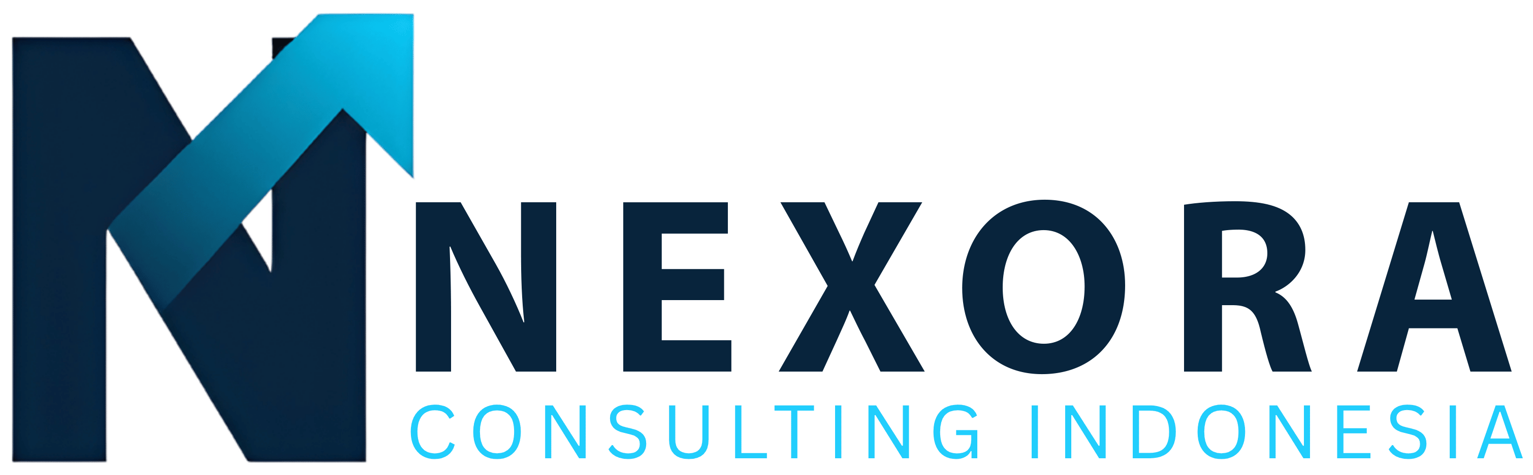Nexora Consulting